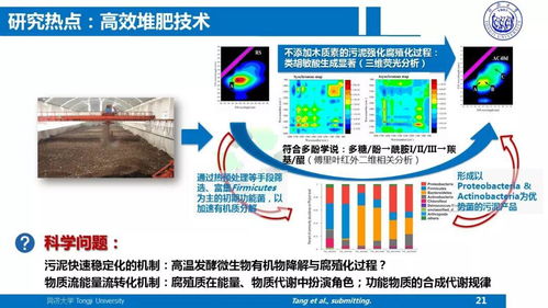 戴曉虎教授PPT分享 面向污水廠提質(zhì)增效的污泥處理處置技術(shù)方向思考與技術(shù)推廣